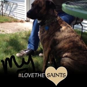 Meet your Posher, Annette